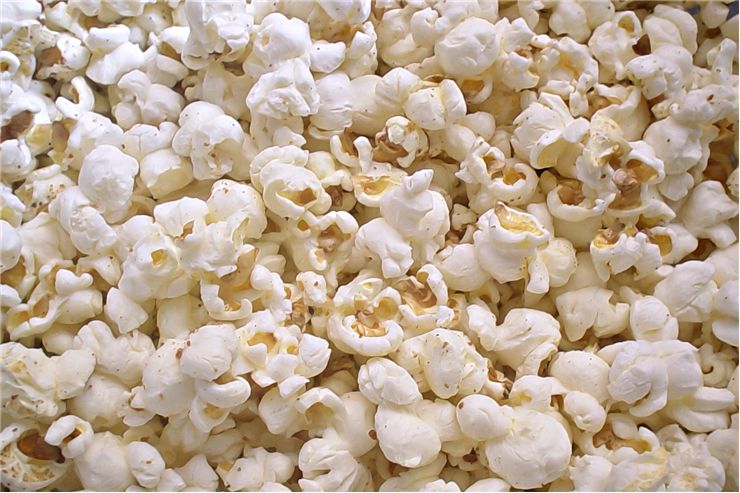 Picture Of Popcorn Grain